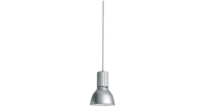 Micrososia D29